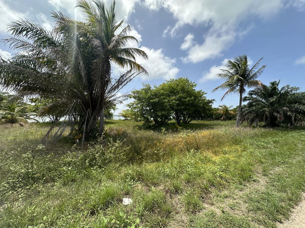 listing image with ID 7660