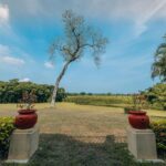 listing image thumbnail with ID 25267