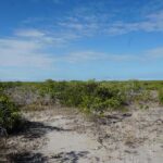 listing image thumbnail with ID 27018