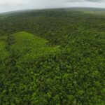 listing image thumbnail with ID 23317