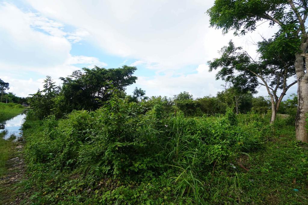 listing image with ID 23806