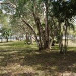 listing image thumbnail with ID 23671