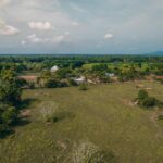 listing image thumbnail with ID 25331