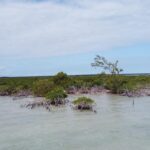 listing image thumbnail with ID 27013