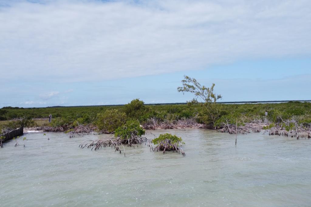 listing image with ID 27013