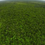 listing image thumbnail with ID 23315