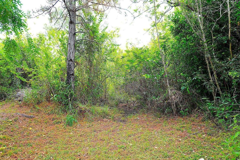 listing image with ID 24186