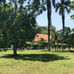 listing image thumbnail with ID 22890