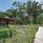 listing image thumbnail with ID 23479