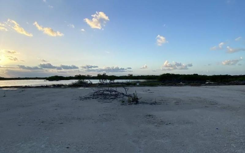 listing image with ID 11093