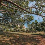 listing image thumbnail with ID 25351