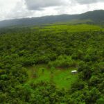 listing image thumbnail with ID 23310