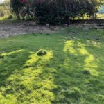 listing image thumbnail with ID 19867