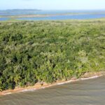 listing image thumbnail with ID 26872