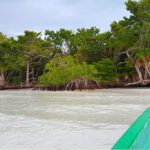 listing image thumbnail with ID 21866