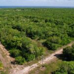 listing image thumbnail with ID 22850