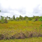 listing image thumbnail with ID 24168