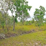 listing image thumbnail with ID 24164