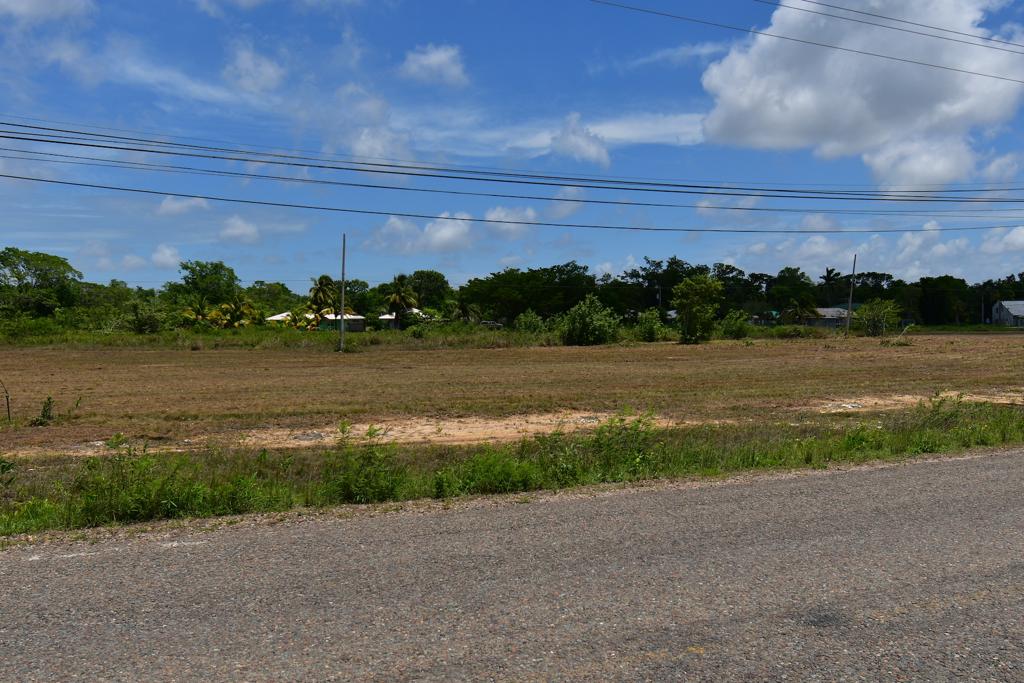 listing image with ID 25429