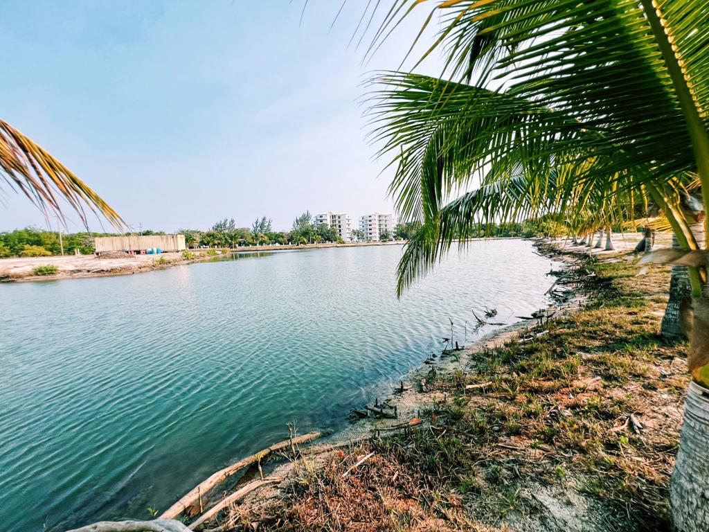 listing image with ID 7789