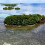 listing image thumbnail with ID 23007