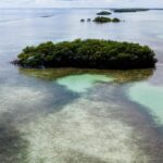 listing image thumbnail with ID 23011