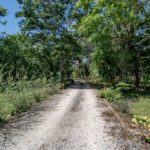 listing image thumbnail with ID 26867