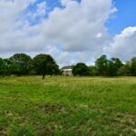 listing image thumbnail with ID 25569