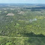 listing image thumbnail with ID 21440