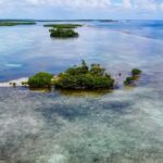 listing image thumbnail with ID 23016