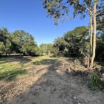 listing image thumbnail with ID 19879