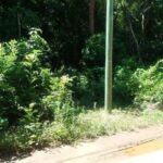 listing image thumbnail with ID 21986