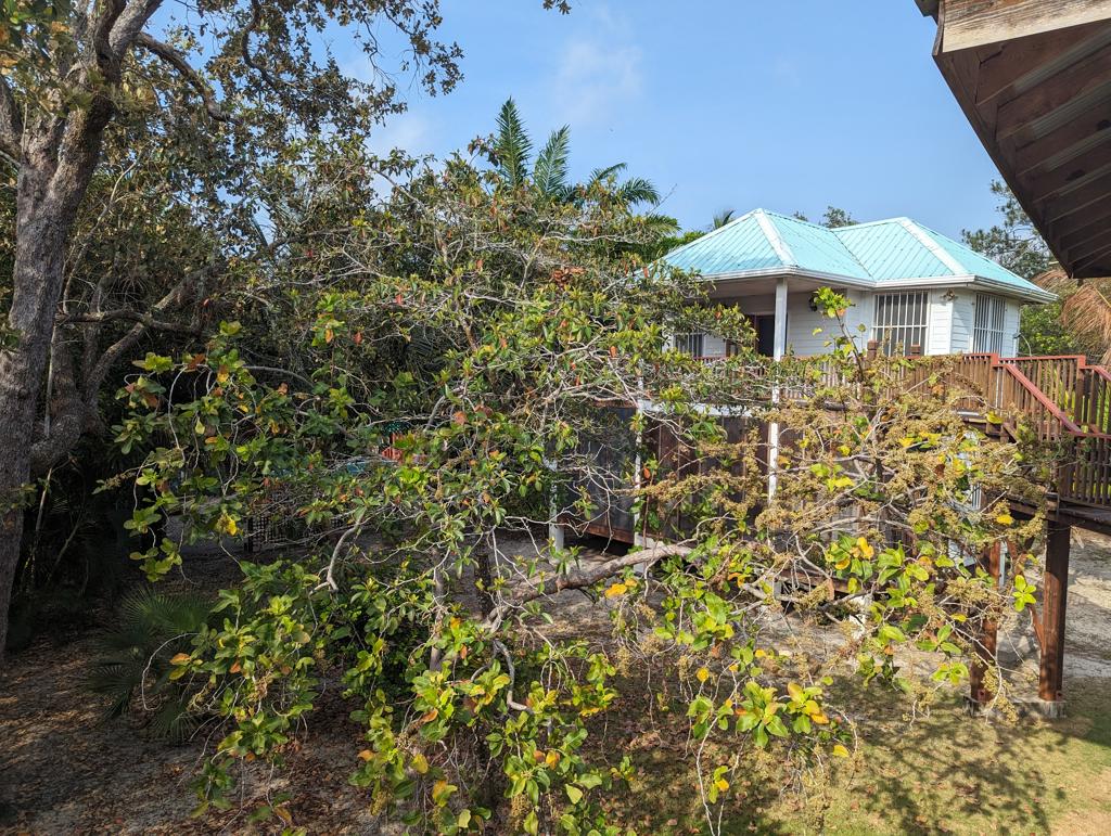 listing image with ID 7001