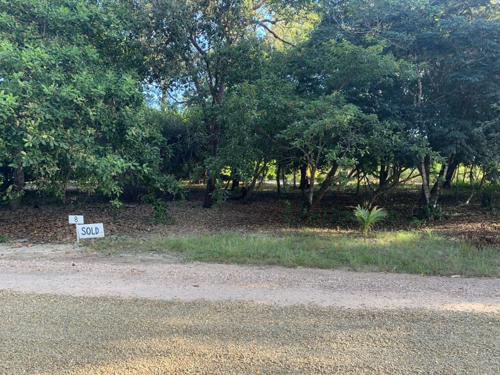 listing image with ID 15975
