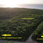 listing image thumbnail with ID 21978