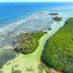 listing image thumbnail with ID 25538