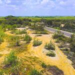 listing image thumbnail with ID 22773