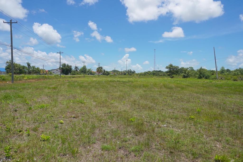 listing image with ID 25430