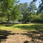 listing image thumbnail with ID 22910