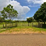 listing image thumbnail with ID 25556