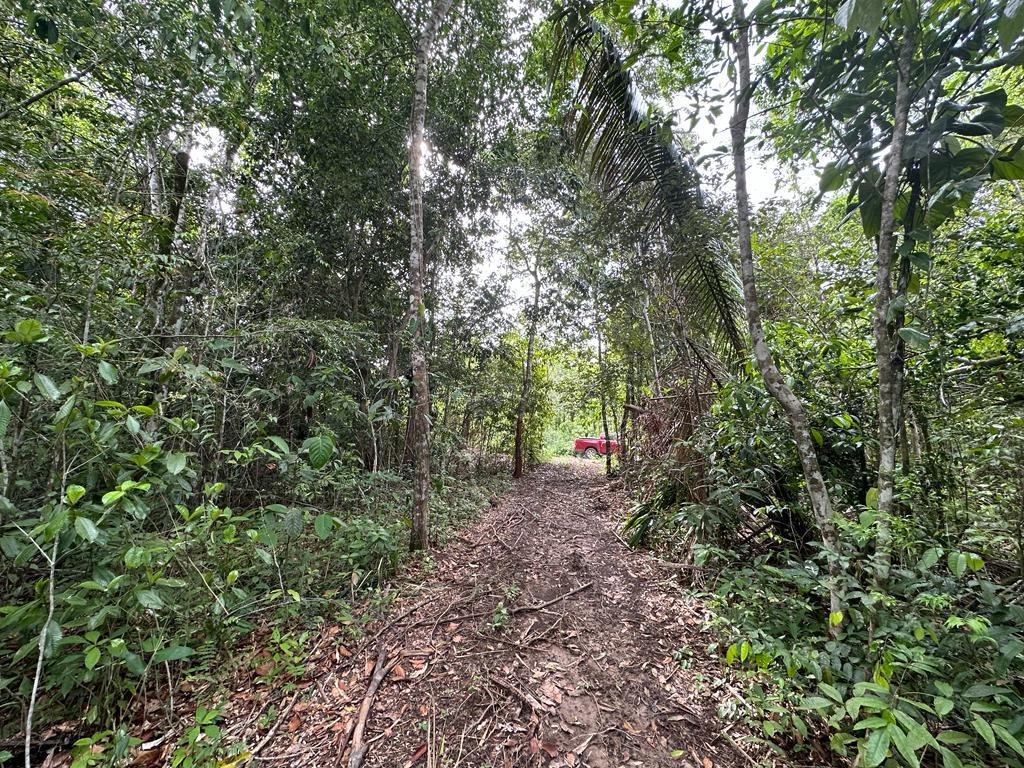 listing image with ID 17510