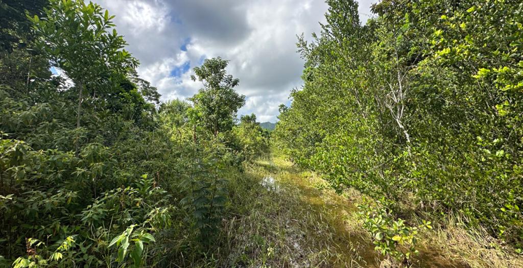 listing image with ID 17297