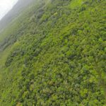 listing image thumbnail with ID 23369