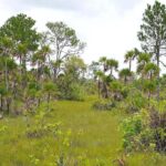 listing image thumbnail with ID 24177