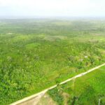 listing image thumbnail with ID 22518