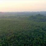 listing image thumbnail with ID 23230