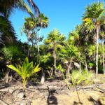 listing image thumbnail with ID 26879