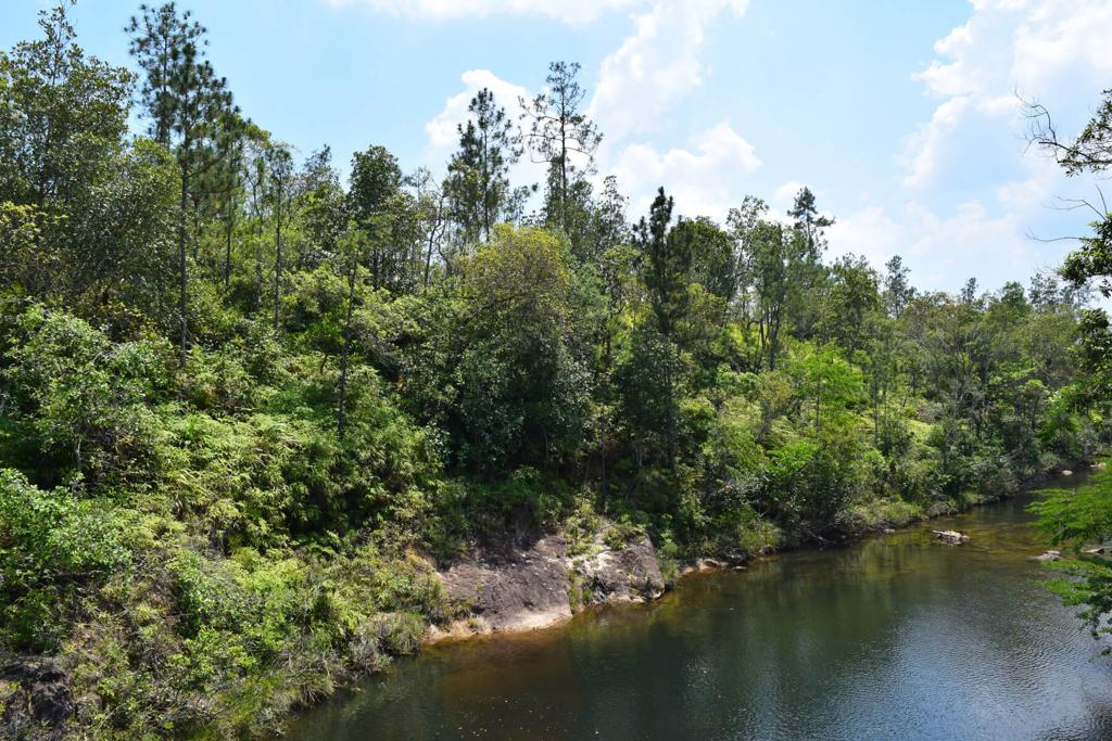listing image with ID 19615