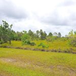 listing image thumbnail with ID 24167