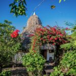 listing image thumbnail with ID 21780